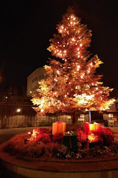 西武園ゆうえんちに投稿された画像（2023/12/19）