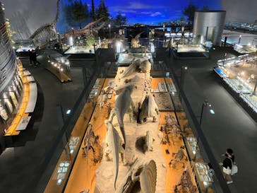 福井県立恐竜博物館に投稿された画像（2023/12/20）