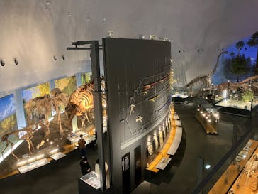 福井県立恐竜博物館に投稿された画像（2023/12/20）