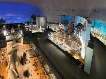 福井県立恐竜博物館に投稿された画像（2023/12/20）