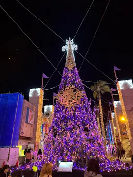 ひらかたパークに投稿された画像（2023/12/20）