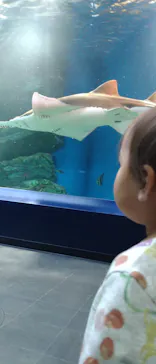 マクセル アクアパーク品川に投稿された画像（2023/12/20）