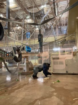 名古屋市東山動植物園に投稿された画像（2023/12/20）