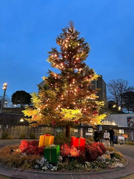 西武園ゆうえんちに投稿された画像（2023/12/19）