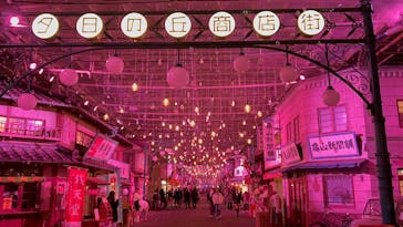 西武園ゆうえんちに投稿された画像（2023/12/19）