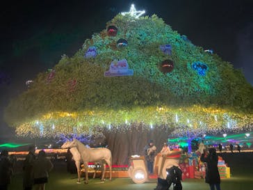 東京メガイルミに投稿された画像（2023/12/20）