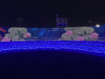 東京メガイルミに投稿された画像（2023/12/20）