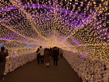 東京メガイルミに投稿された画像（2023/12/20）