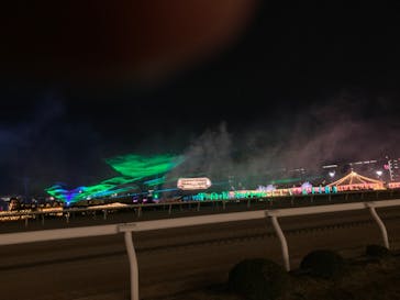 東京メガイルミに投稿された画像（2023/12/20）