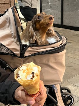 マリオンクレープに投稿された画像（2023/12/20）