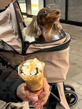 マリオンクレープに投稿された画像（2023/12/20）