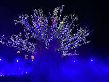 ラグーナテンボス ラグナシアに投稿された画像（2023/12/20）