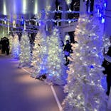 梅田スカイビル・空中庭園展望台に投稿された画像（2023/12/20）