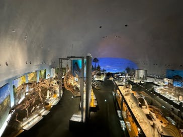福井県立恐竜博物館に投稿された画像（2023/12/20）