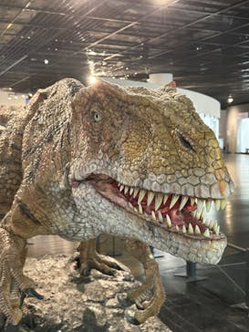 福井県立恐竜博物館に投稿された画像（2023/12/20）