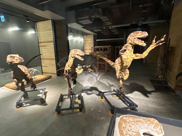 福井県立恐竜博物館に投稿された画像（2023/12/20）