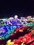 伊豆ぐらんぱる公園に投稿された画像（2023/12/20）