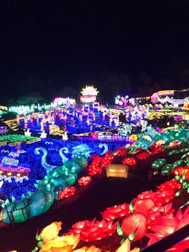 伊豆ぐらんぱる公園に投稿された画像（2023/12/20）