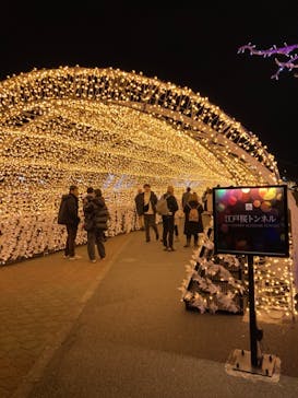 東京メガイルミに投稿された画像（2023/12/20）