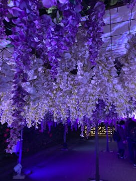 東京メガイルミに投稿された画像（2023/12/20）