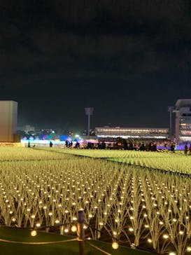 東京メガイルミに投稿された画像（2023/12/20）