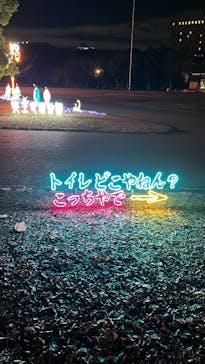 大阪城イルミナージュに投稿された画像（2023/12/20）