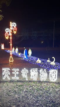 大阪城イルミナージュに投稿された画像（2023/12/20）