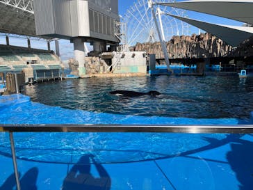 名古屋港水族館に投稿された画像（2023/12/20）