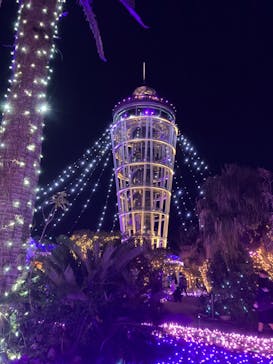 江の島シーキャンドルに投稿された画像（2023/12/20）