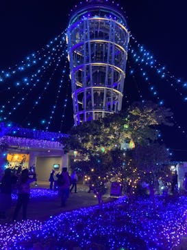 江の島シーキャンドルに投稿された画像（2023/12/20）