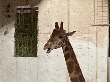 よこはま動物園ズーラシアに投稿された画像（2023/12/20）