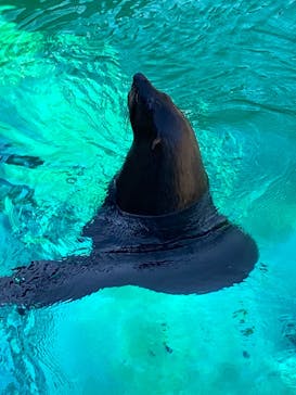 よこはま動物園ズーラシアに投稿された画像（2023/12/20）