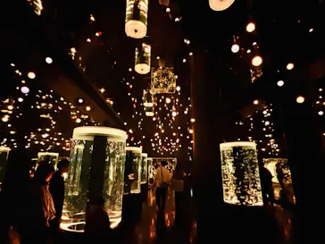 マクセル アクアパーク品川に投稿された画像（2023/12/20）