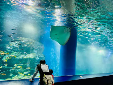 マクセル アクアパーク品川に投稿された画像（2023/12/20）