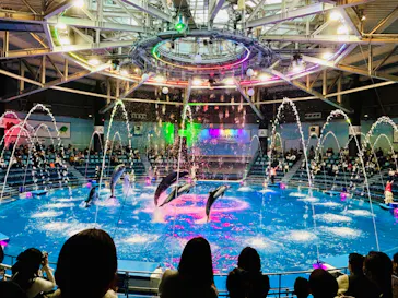 マクセル アクアパーク品川に投稿された画像（2023/12/20）