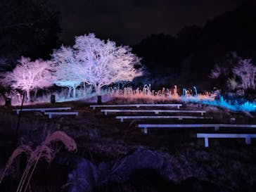 KYOTO ILLUMINATION SYNESTHESIA HILLS るり渓温泉に投稿された画像（2023/12/20）