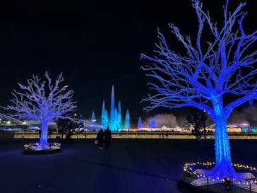 東京メガイルミに投稿された画像（2023/12/21）