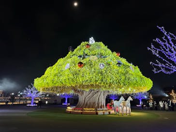 東京メガイルミに投稿された画像（2023/12/21）