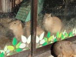 伊豆シャボテン動物公園に投稿された画像（2023/12/21）