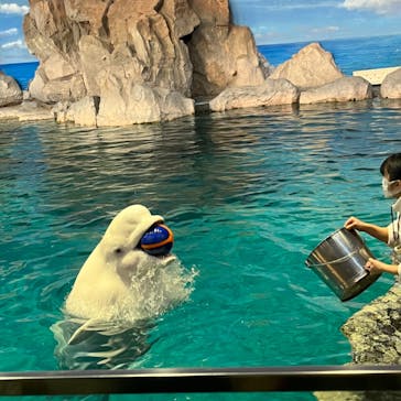 名古屋港水族館に投稿された画像（2023/12/21）