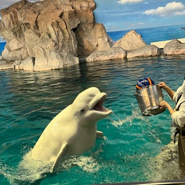 名古屋港水族館に投稿された画像（2023/12/21）