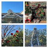 横浜イングリッシュガーデンに投稿された画像（2023/12/21）