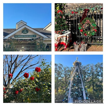 横浜イングリッシュガーデンに投稿された画像（2023/12/21）