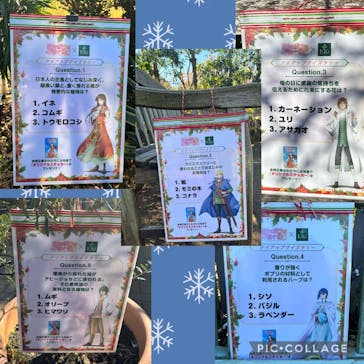 横浜イングリッシュガーデンに投稿された画像（2023/12/21）