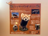 日立市かみね動物園に投稿された画像（2023/12/21）