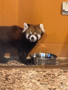 日立市かみね動物園に投稿された画像（2023/12/21）