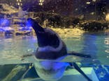 すみだ水族館に投稿された画像（2023/12/21）