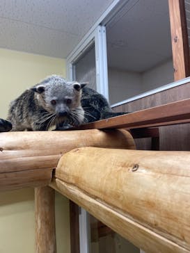 アニタッチ MARK IS 静岡に投稿された画像（2023/12/21）