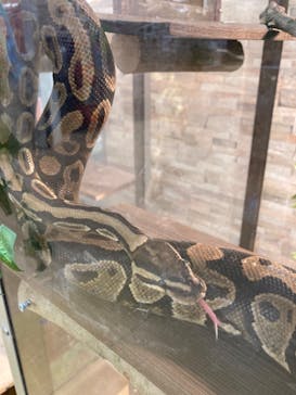 アニタッチ MARK IS 静岡に投稿された画像（2023/12/21）