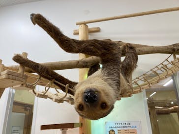 アニタッチ MARK IS 静岡に投稿された画像（2023/12/21）